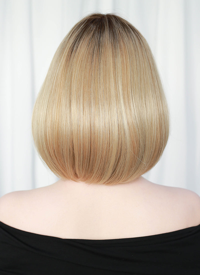 Mixed Blonde With Dark Roots Straight Mono Top Lace Synthetic Wig MN002