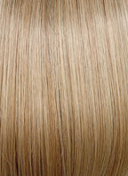 Mixed Blonde With Dark Roots Straight Mono Top Lace Synthetic Wig MN002
